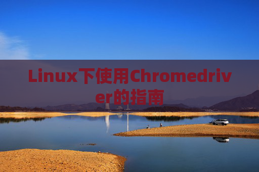 Linux下使用Chromedriver的指南